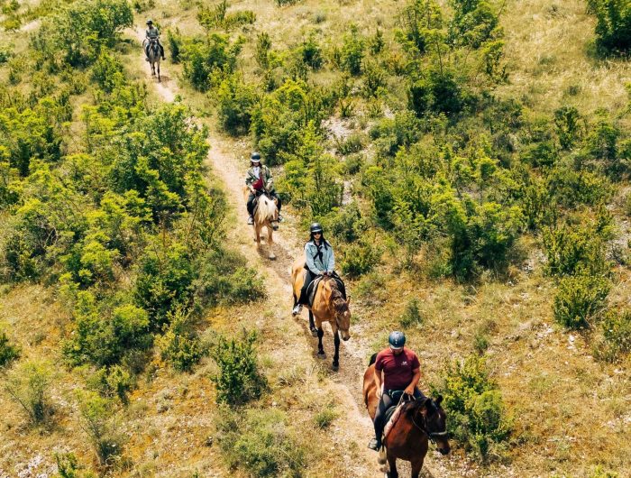 Horseback Riding Across the Highlands